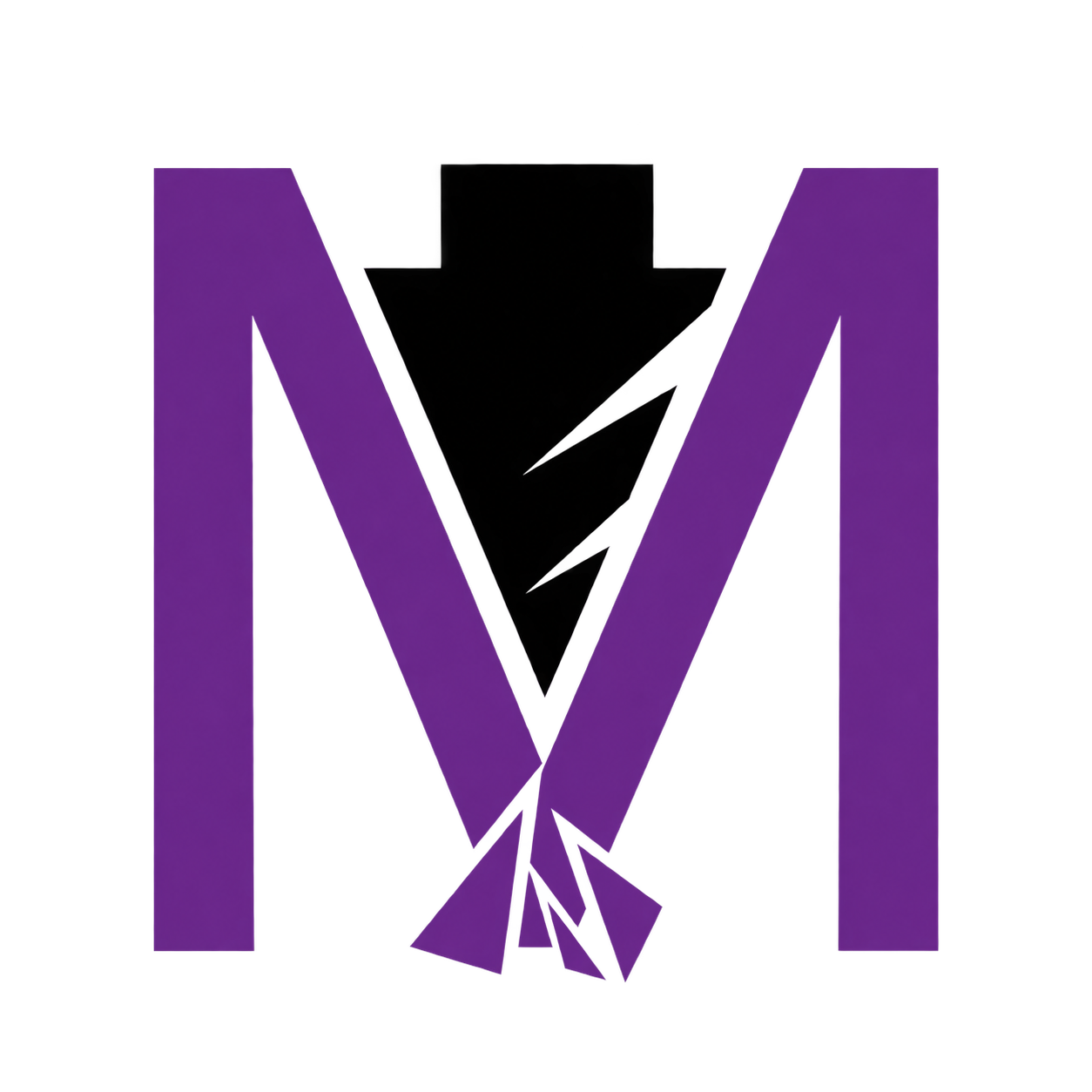 Licence MillMage Pro avec conseils d’installation et de paramétrage